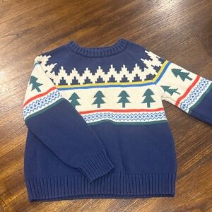 Hanna Andersson Blue Sweater with Festive Design